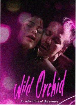 都市情感格口关注榜配图